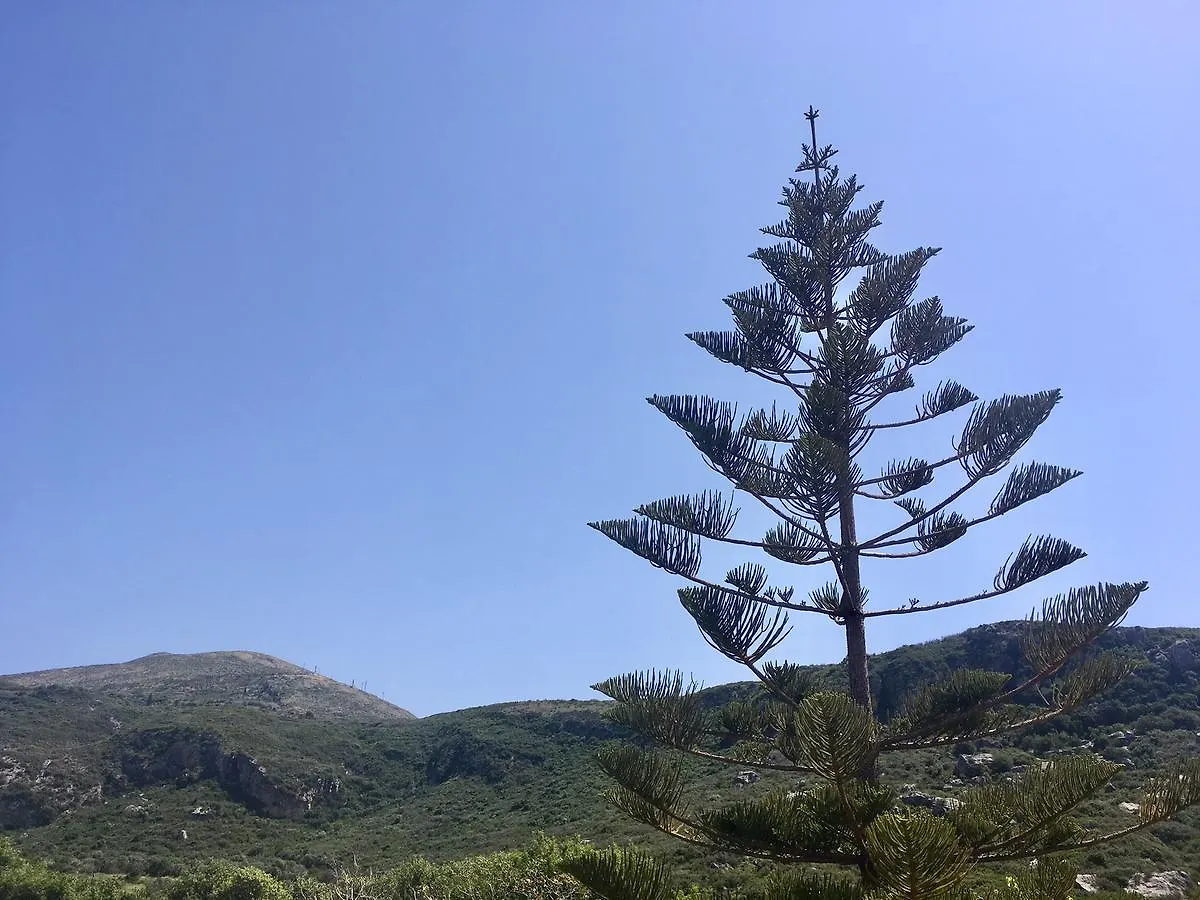 Alegria Kefalonia Katelios